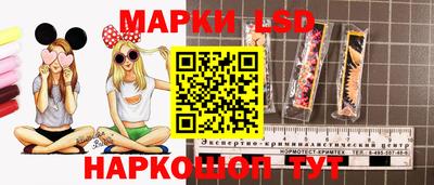 apvp Гагарин
