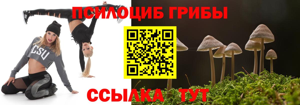 Железногорск  Галлюциногенные грибы ЛСД  Вход с VPN 
