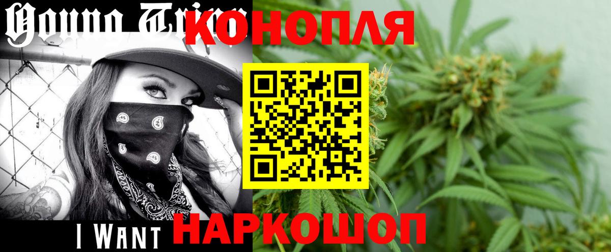 МАРИХУАНА гибрид  Конопля ГИДРОПОН  Железногорск  Вход с VPN  Бошки марихуана индика  Канабис семена 
